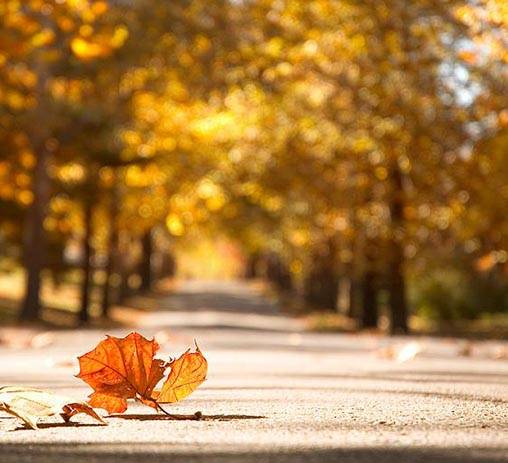 石磨设备公司迎来十二月，2020年已接近收尾